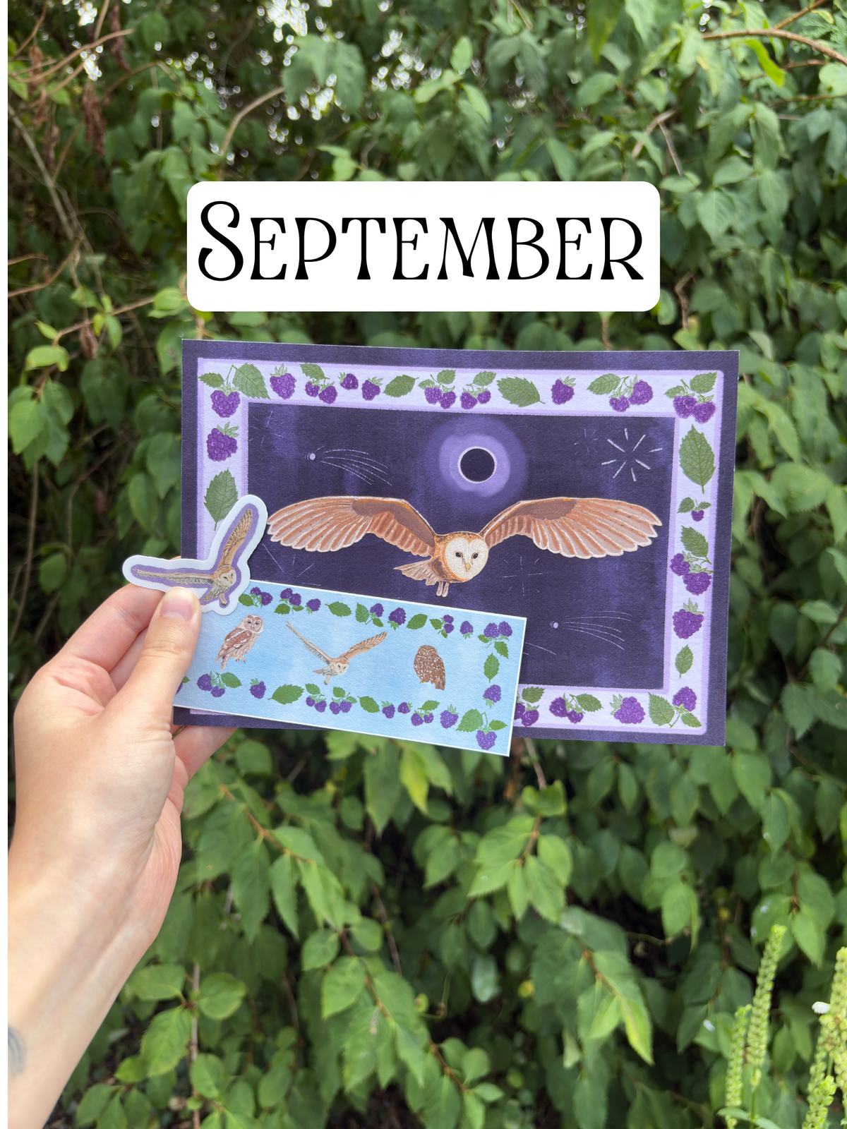 September- Mail Club Catch Up!
